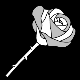 růže.jpg